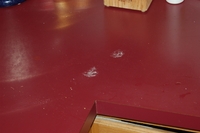 Counter paw prints