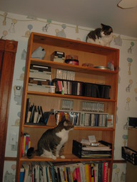 Mutli-cat Storage