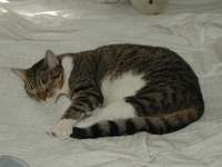 Billy Napping in 2004